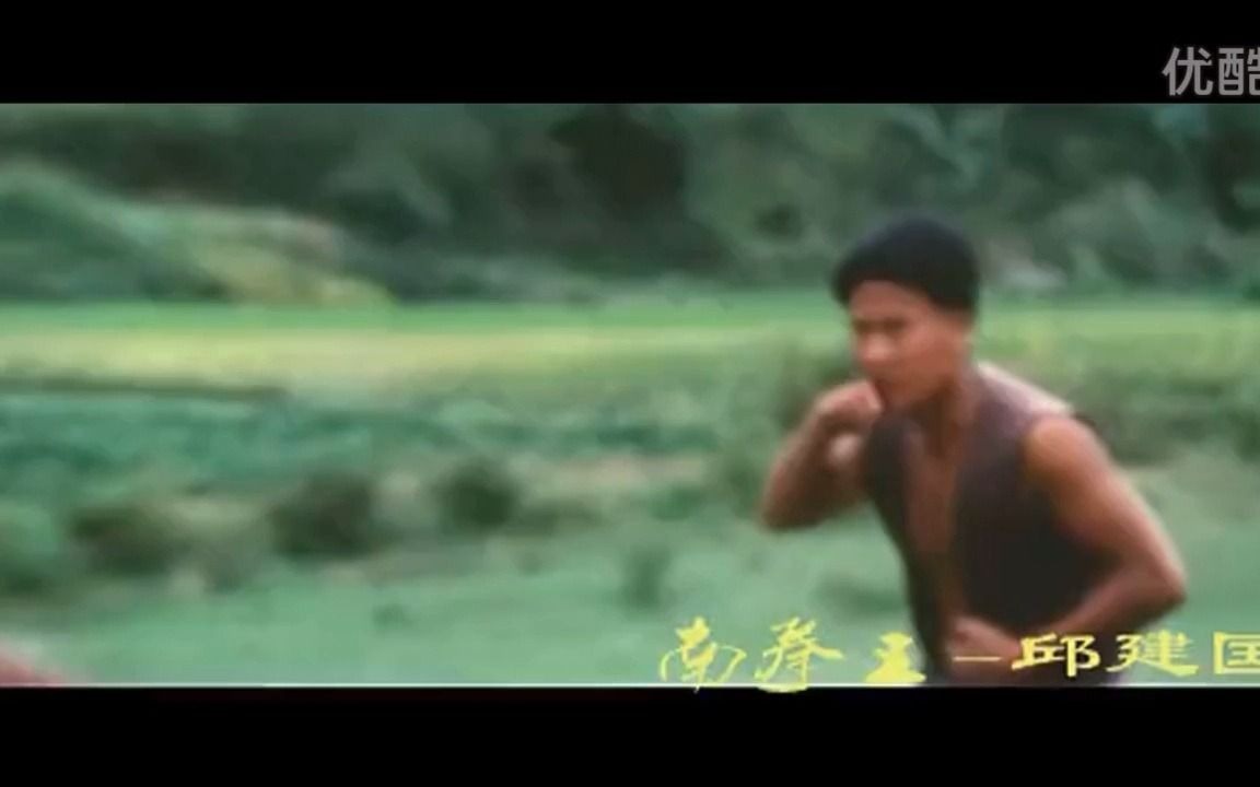 [图]叶振棠-遂我英雄愿 卡拉OK伴奏（电影南拳王插曲）