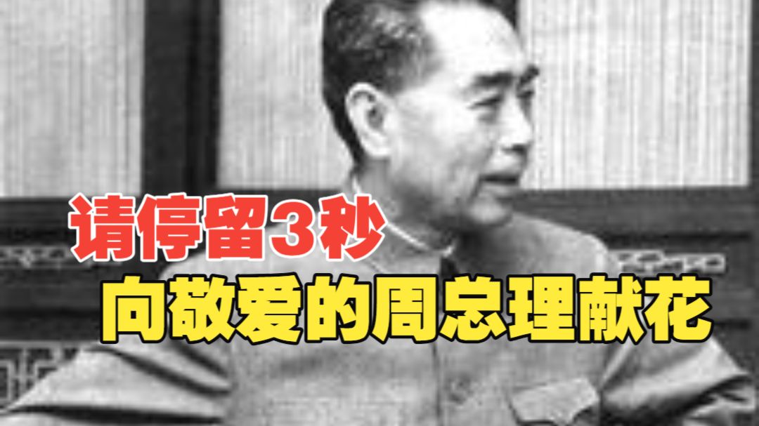 纪念周恩来逝世50周年，请停留3秒 向敬爱的周总理献花，他没有子女和遗产，却有十里长街百万群众流泪送别