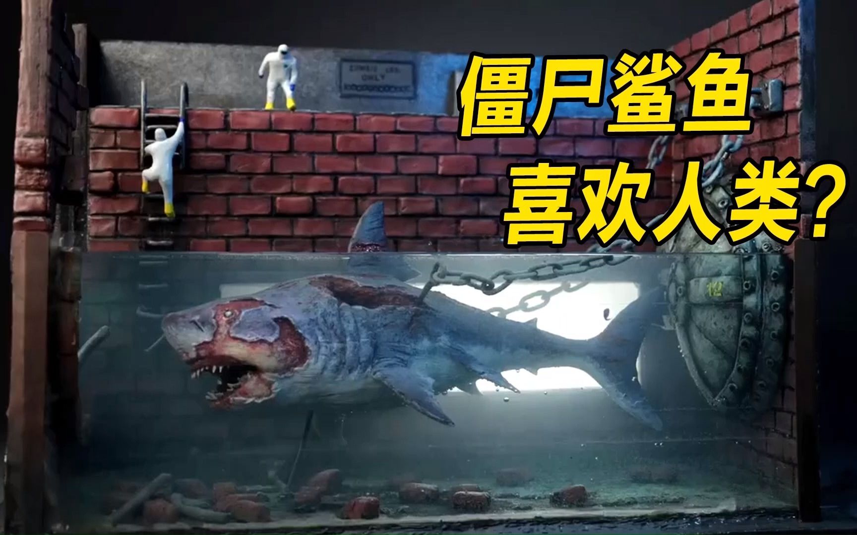 模型:善良温顺的小白鲨,惨遭人类陷害,起死回生变成僵尸鲨鱼?