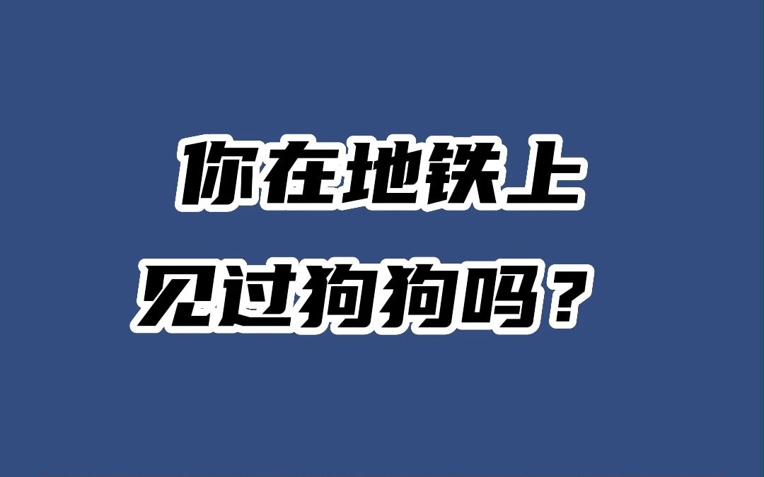 狗狗能坐地铁吗?哔哩哔哩bilibili