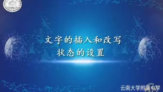 文字处理-文字的插入和改写状态的设置