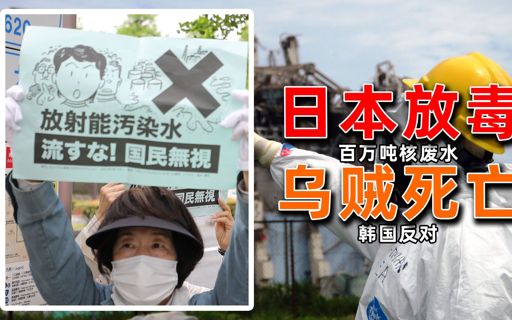 [图]日本排放核废水的报应来了？乌贼大量死亡，当地渔民都不敢吃！