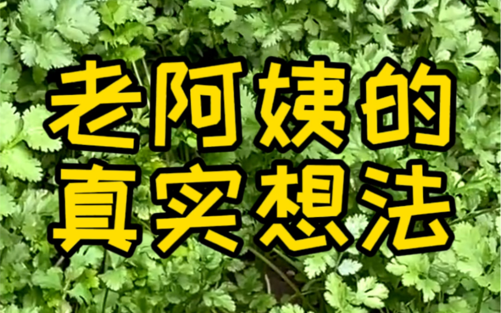 老阿姨最真实的想法#80后老阿姨 #内容过于真实 #中年少女