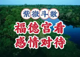 Download Video: 福德宫看感情对待。紫微斗数与八字案例讲解。