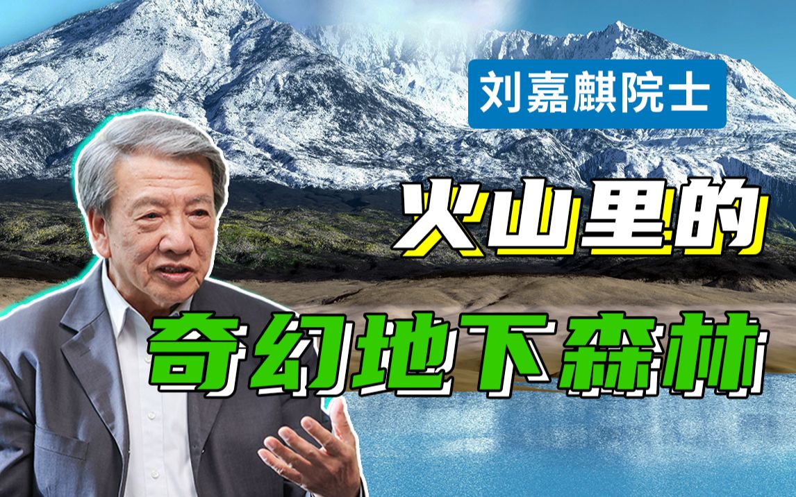 【刘嘉麒】最迷人的最危险?火山里“长出”的地下森林在哪里?镜泊湖的成因之谜【上】哔哩哔哩bilibili