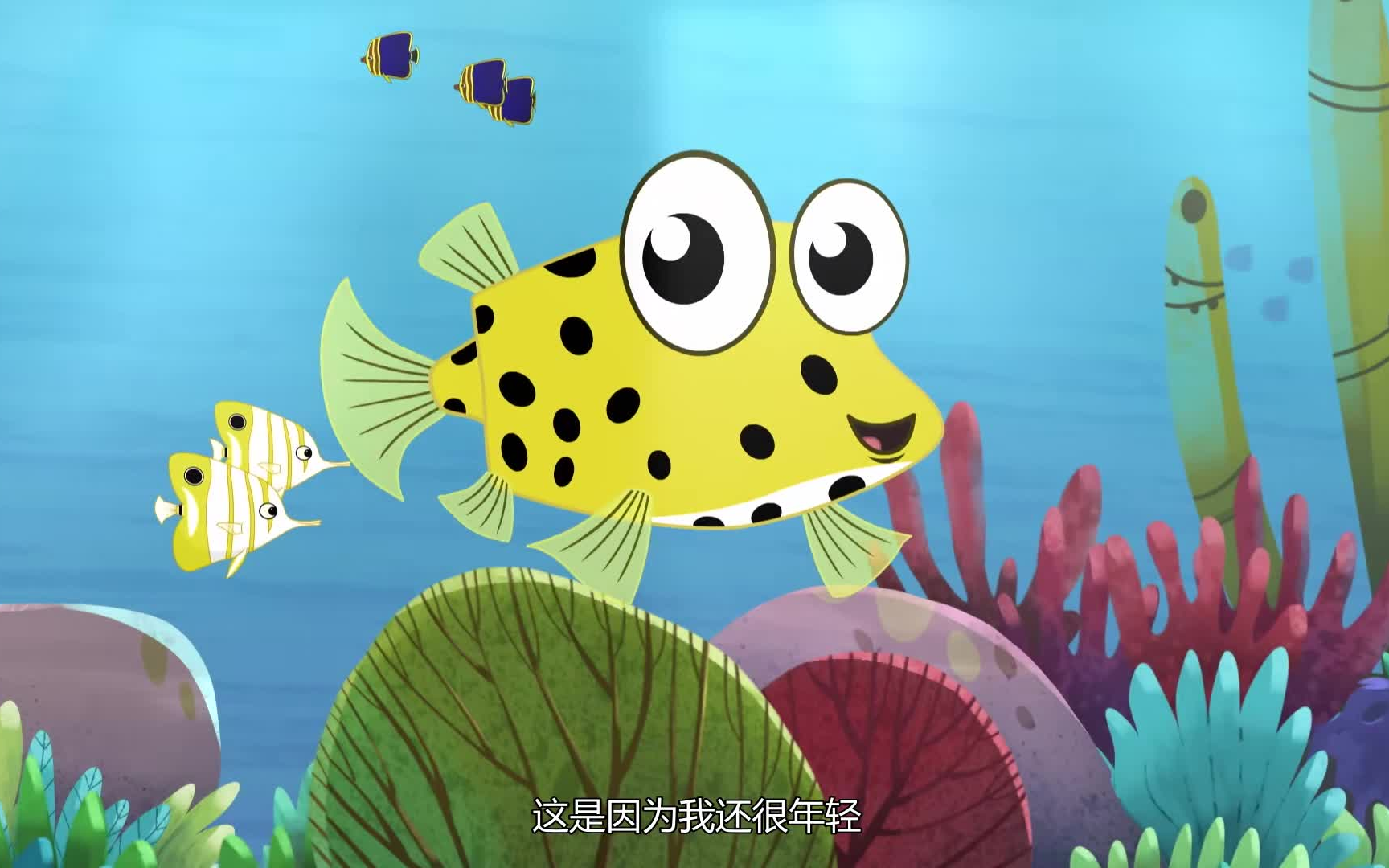 [图]鱼类知识动画片《我是一条鱼 I’m a fish》英文版52集+中文版52集丰富孩子的海洋知识，轻松培养孩子称为海洋生物小专家