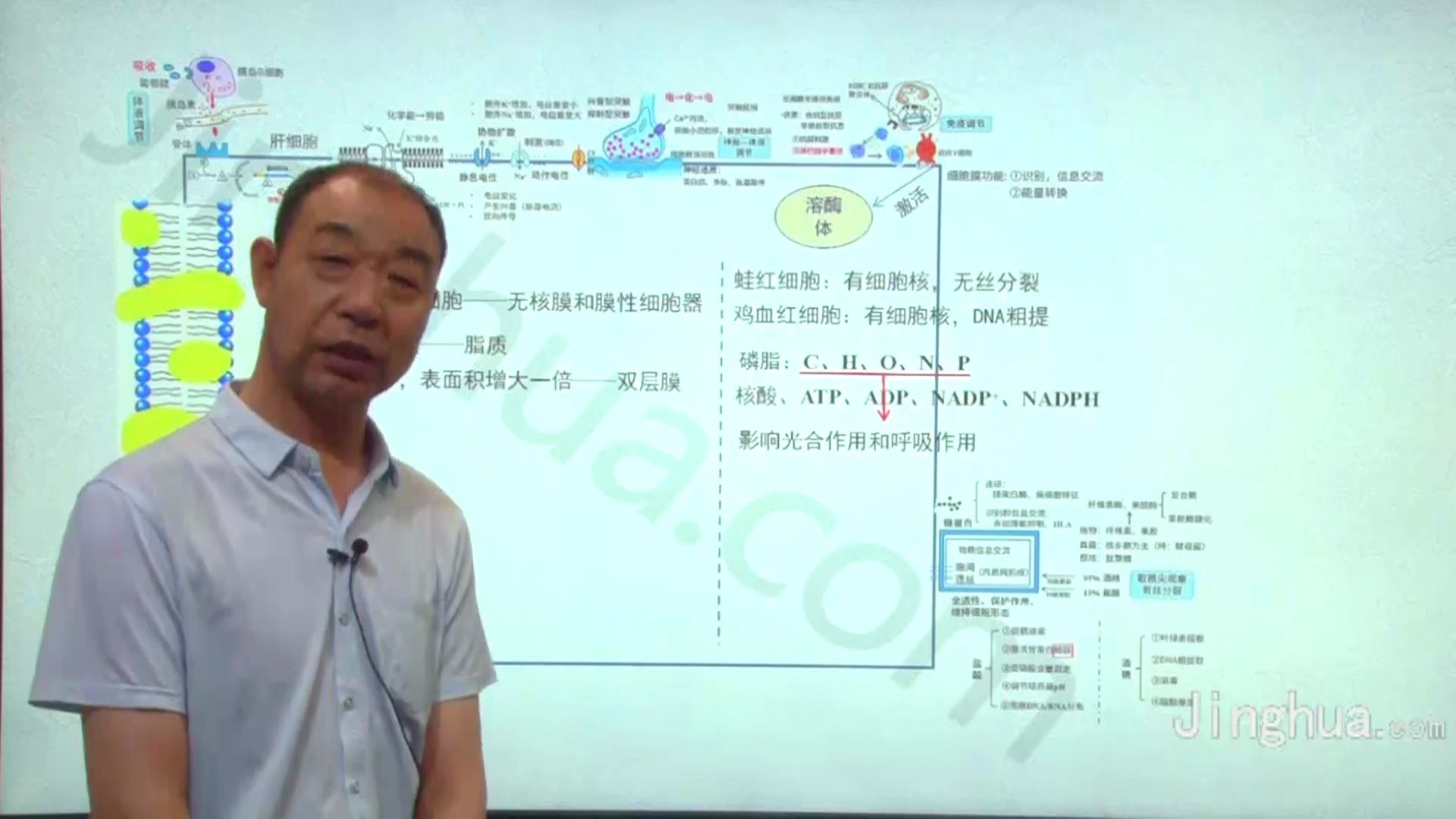 2020精华学校新生试听课程——高三生物高立新哔哩哔哩bilibili