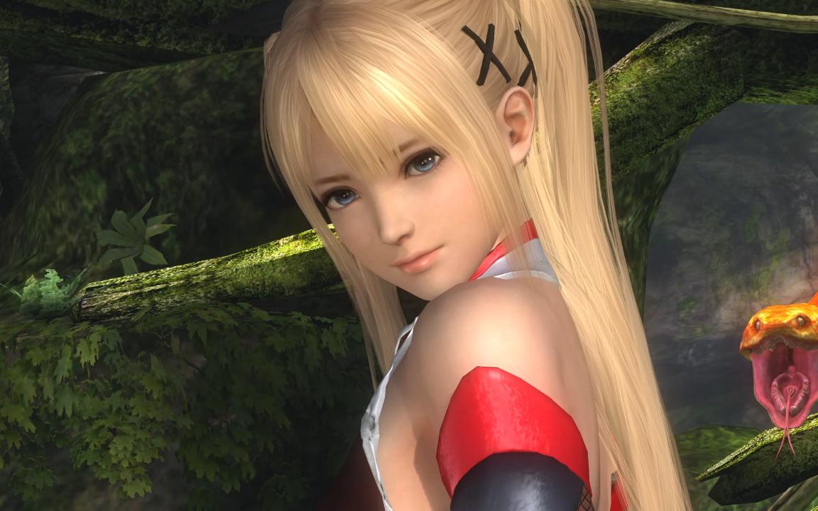 doa5玛丽罗斯lr图片