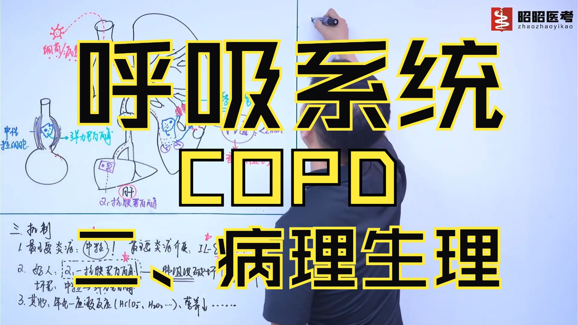 [图]昭昭2023临床执业/助理视频课程：呼吸系统-COPD-2-病理生理