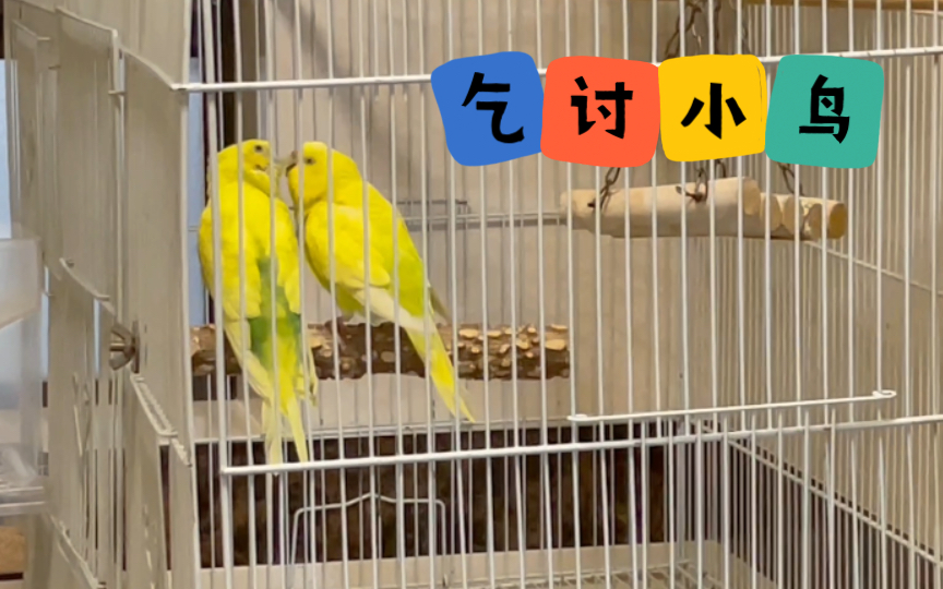 滴水之恩需要你现在马上报 像不像家里无缘无故帮你捶背的弟弟