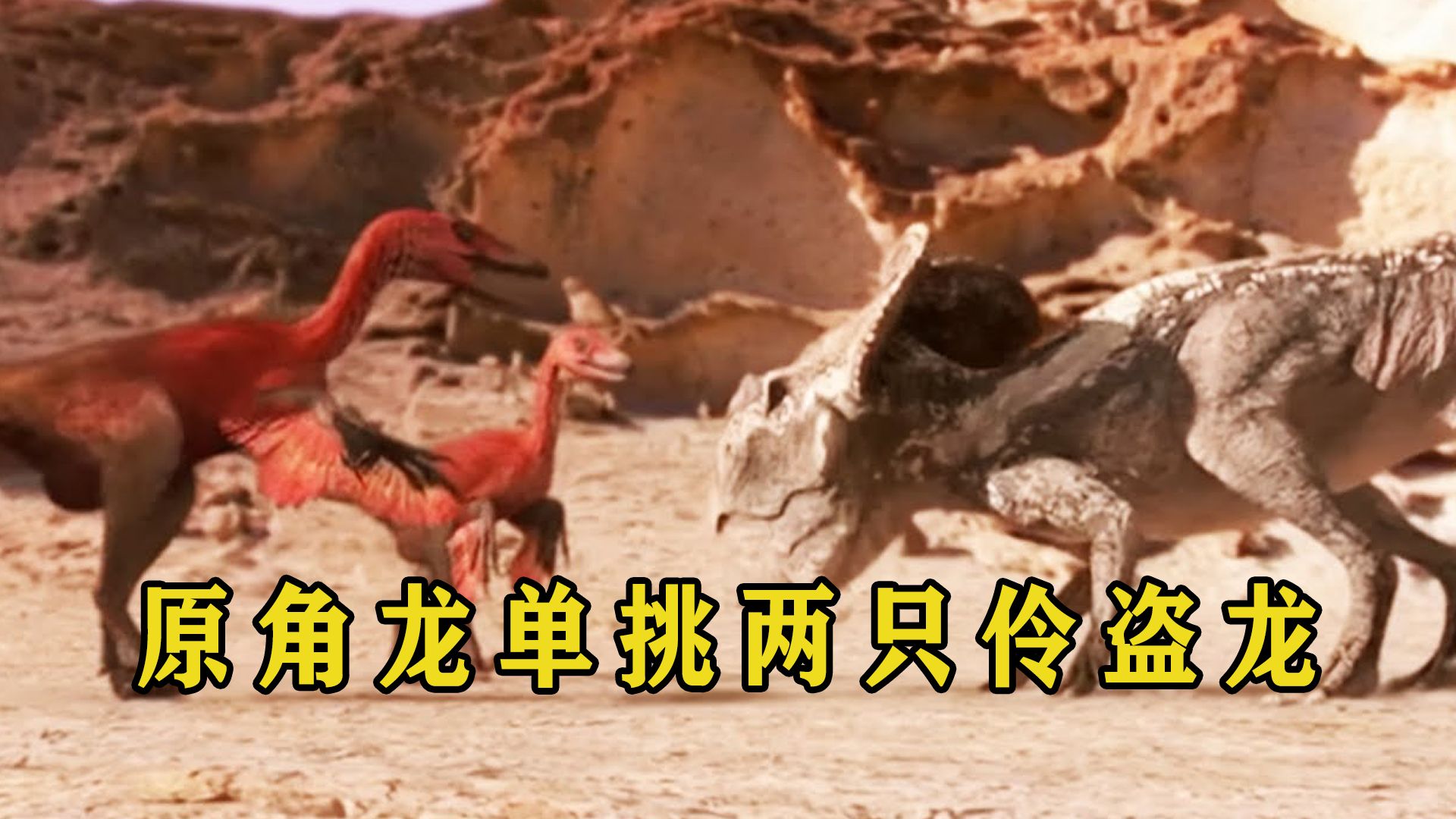 原角龙大战伶盗龙,一个转身直接甩飞伶盗龙,全面碾压对手