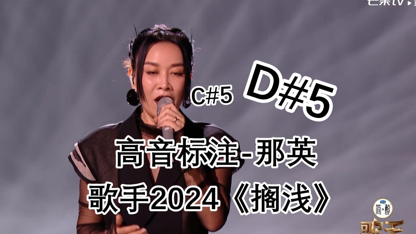 d#5一下致敬杨丞琳蒙面舞台,歌手2024 那英《搁浅》高音标注