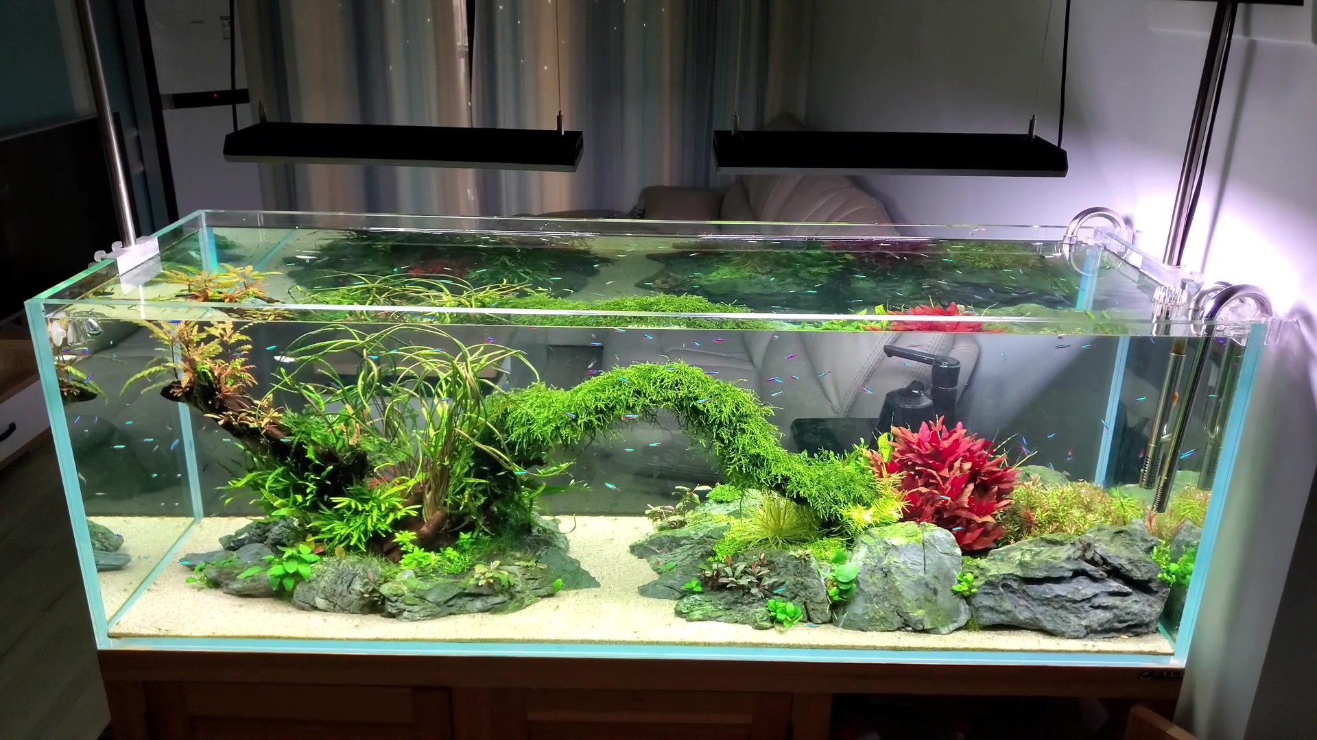 阴阳结合双面景草缸