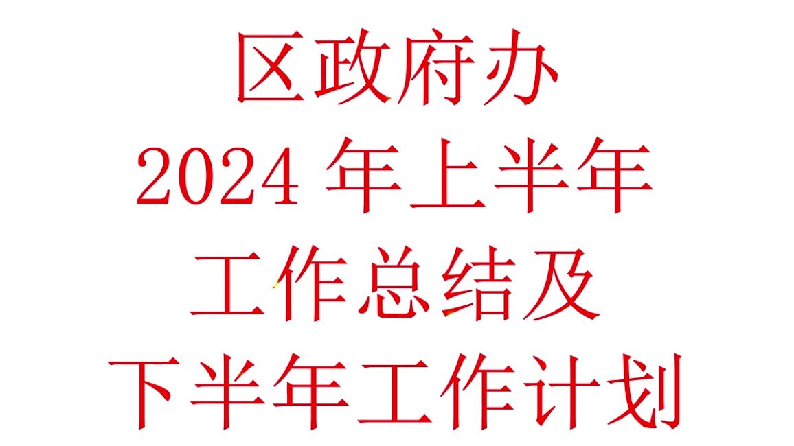 区政办2024年上半年工作总结及下半年工作计划哔哩哔哩bilibili