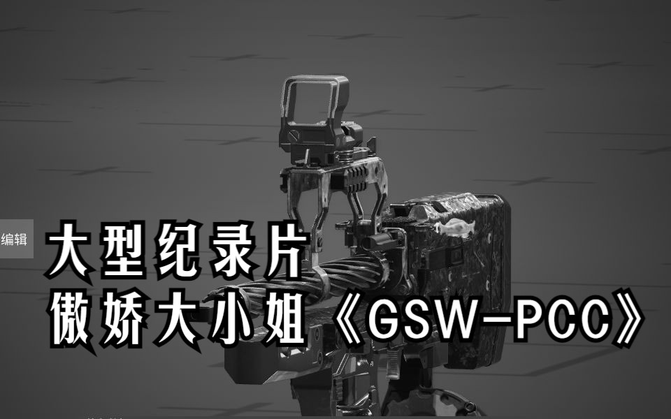 边境大型纪录片系列之《傲娇大小姐GSWPCC》