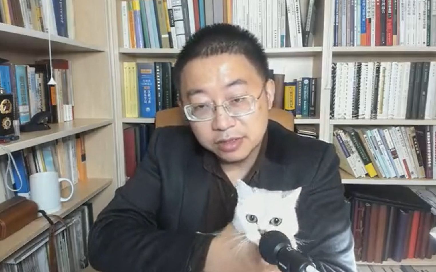 沈逸老师撸猫哈哈哈哈哈哈哈