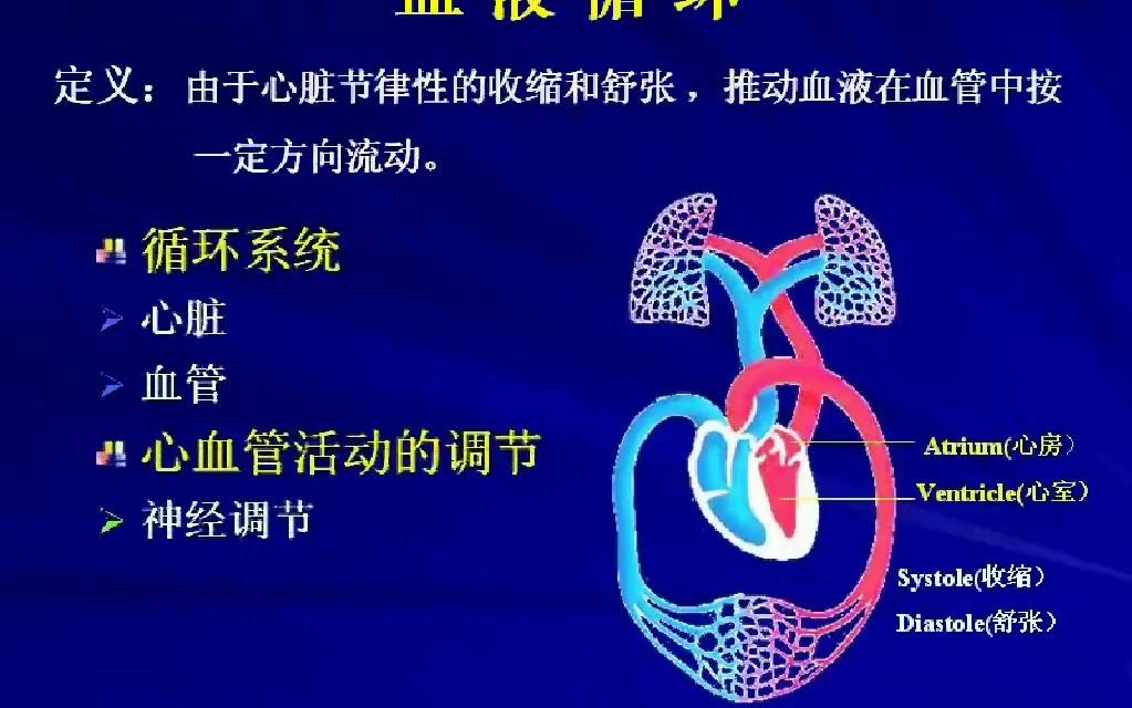 [考研]动物生理学极简版考纲哔哩哔哩bilibili