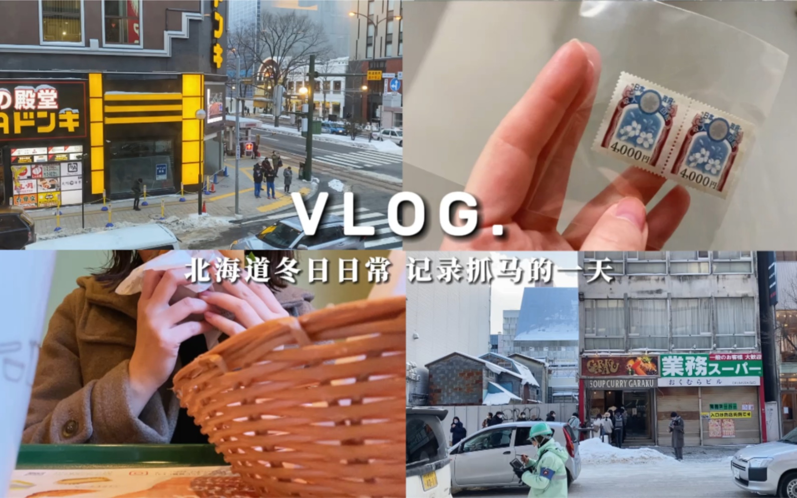 北海道VLOG|打工人的请假日常|更新签证|和我度过抓马的一天哔哩哔哩bilibili