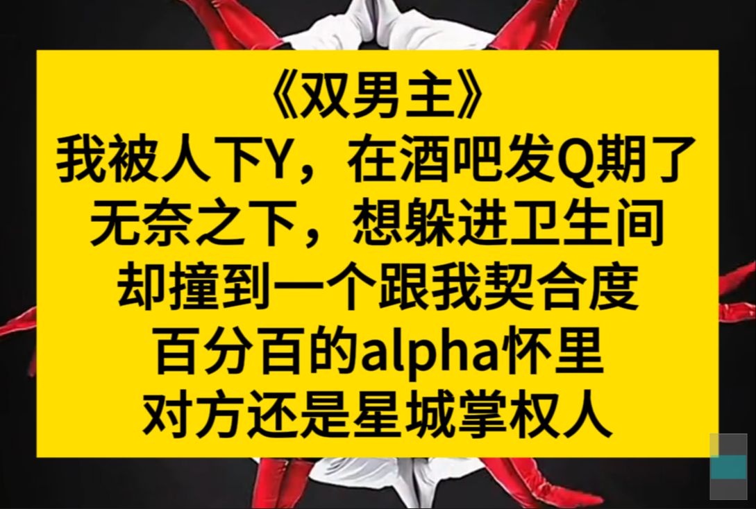 双男主 我被人下Y,在酒吧发q期了,想躲进厕所,却意外撞到跟我契合度百分百的alpha哔哩哔哩bilibili