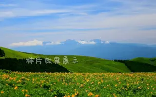 草原花海 搜索结果 哔哩哔哩 Bilibili