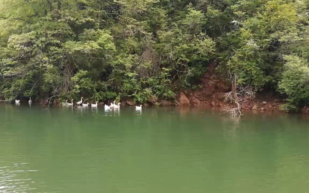 [图]寻亲之旅——（3）游览泰山庙