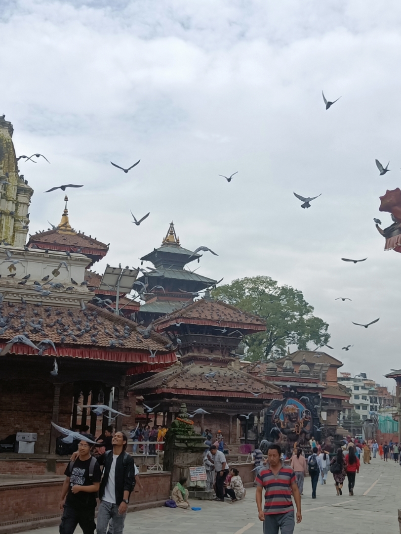 在尼泊尔的留学生活:异域风情,生活琐记