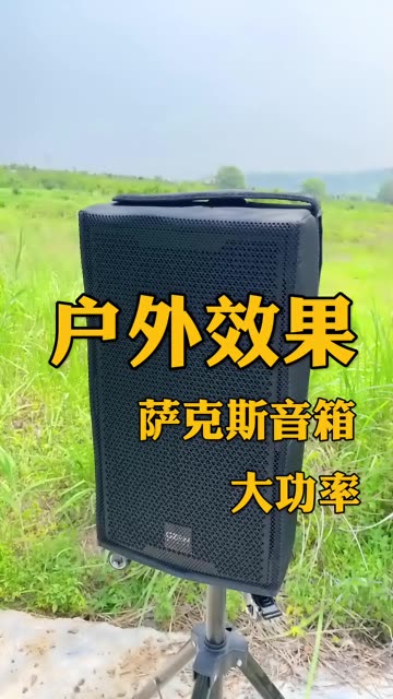 芳影萨克斯专用音箱图片