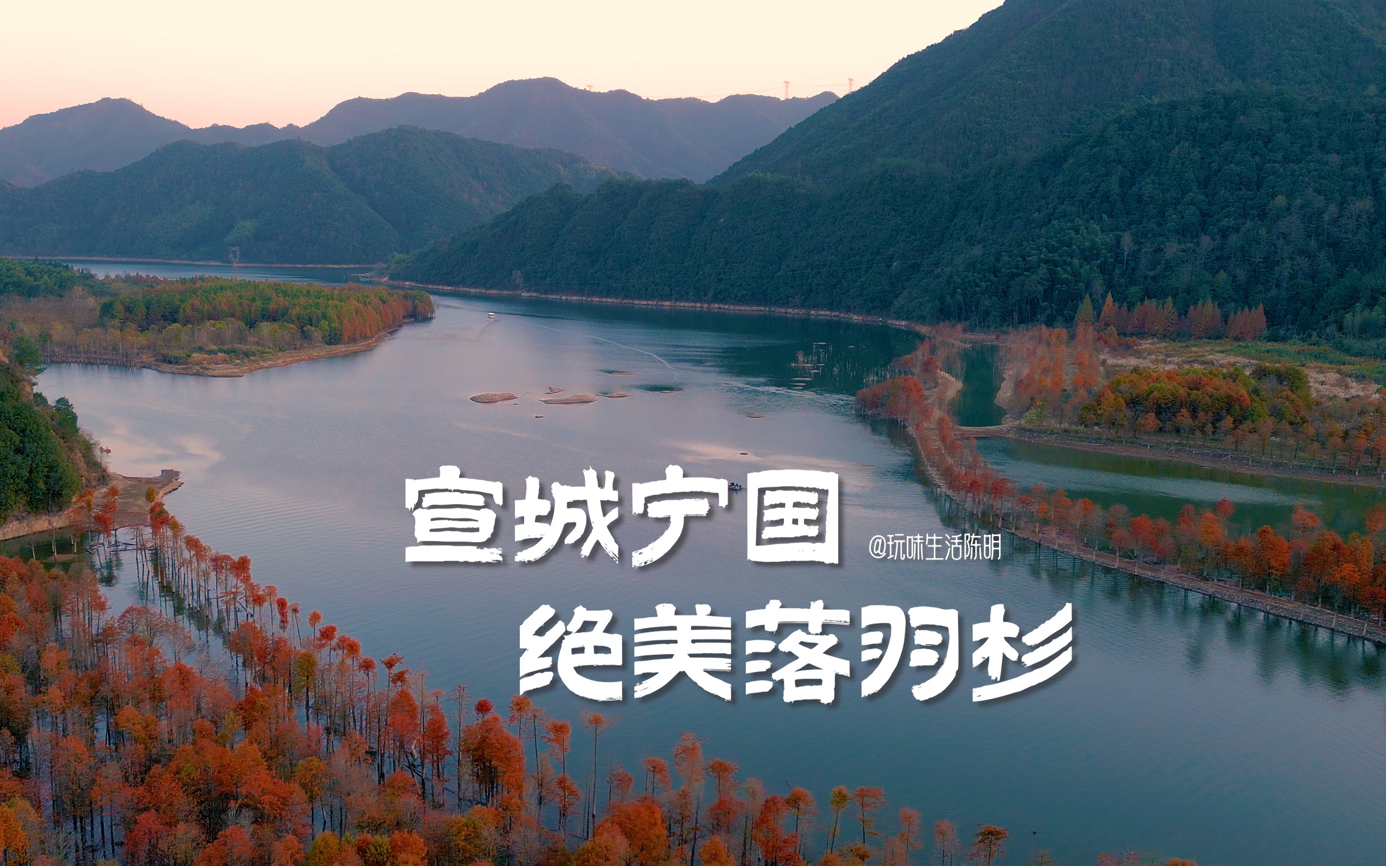 4k|航拍安徽宁国绝美落羽杉林|皖南318川藏线中的一道靓丽风景|dji