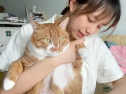 Descargar video: 猫：我不要面子的嘛！！！