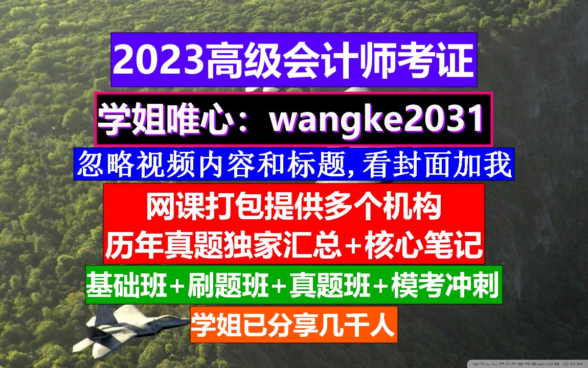 高级会计师评审条件,高级会计师待遇如何,高级会计师考证资格哔哩哔哩bilibili