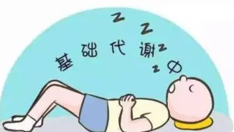 艾可生物化学第十四期课程节选-基础代谢率