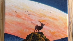 Hp 水仙花根的粉末加苦艾草汁会有什么 哔哩哔哩 つロ干杯 Bilibili