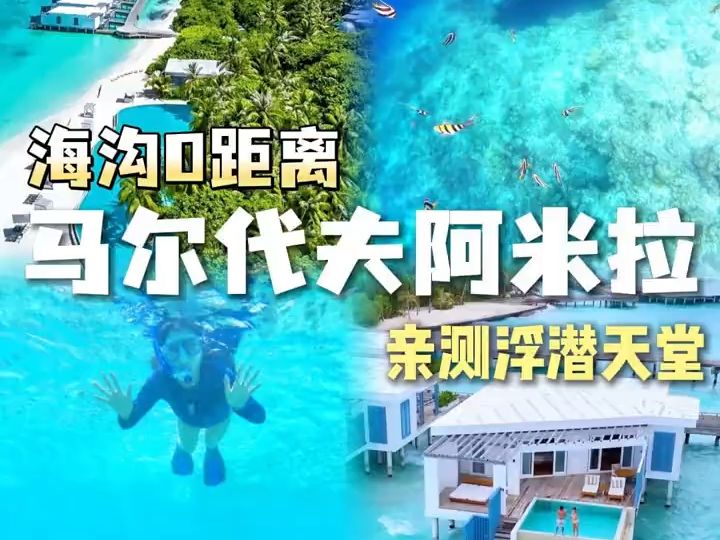 天选浮潜圣地阿米拉诚不欺我❗海沟0距离𐟐  简直是老天爷赏饭吃,海景&浮潜美到落泪𐟌Š阿米拉还有多少惊喜是我不知道的𐟏–哔哩哔哩bilibili