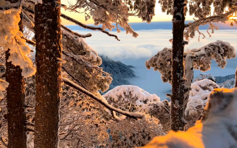 [图]黄山雪景vlog 雪山日出成就达成