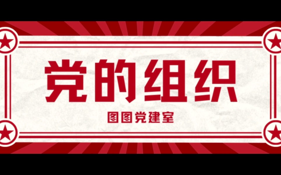 什么是党的组织?哔哩哔哩bilibili