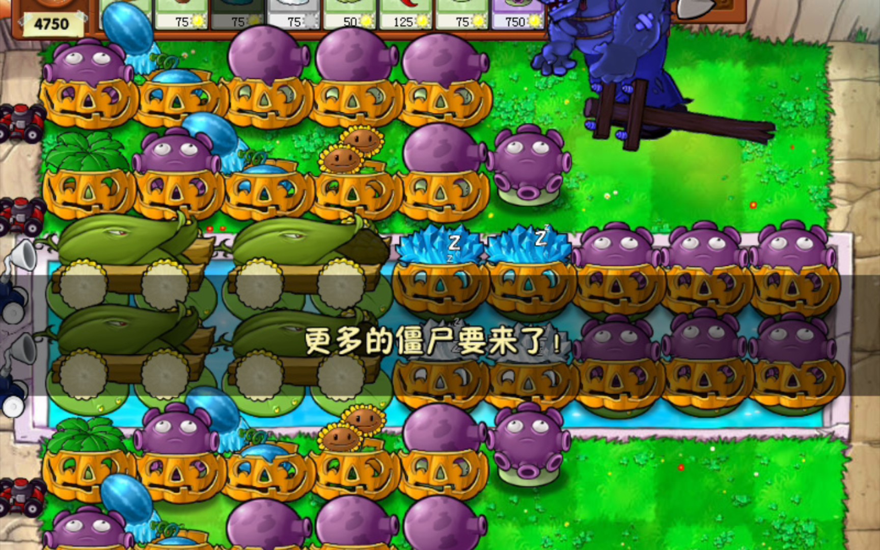 经典四炮阵容,稳稳当当.百轮纪念【植物大战僵尸】泳池无尽