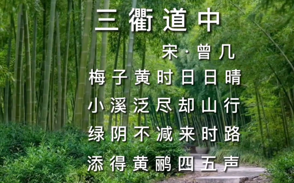 《三衢道中》小学必背古诗词配音朗诵/动画学习乐园和你一起学古诗/唯美古诗词/弘扬国学经典文化哔哩哔哩bilibili