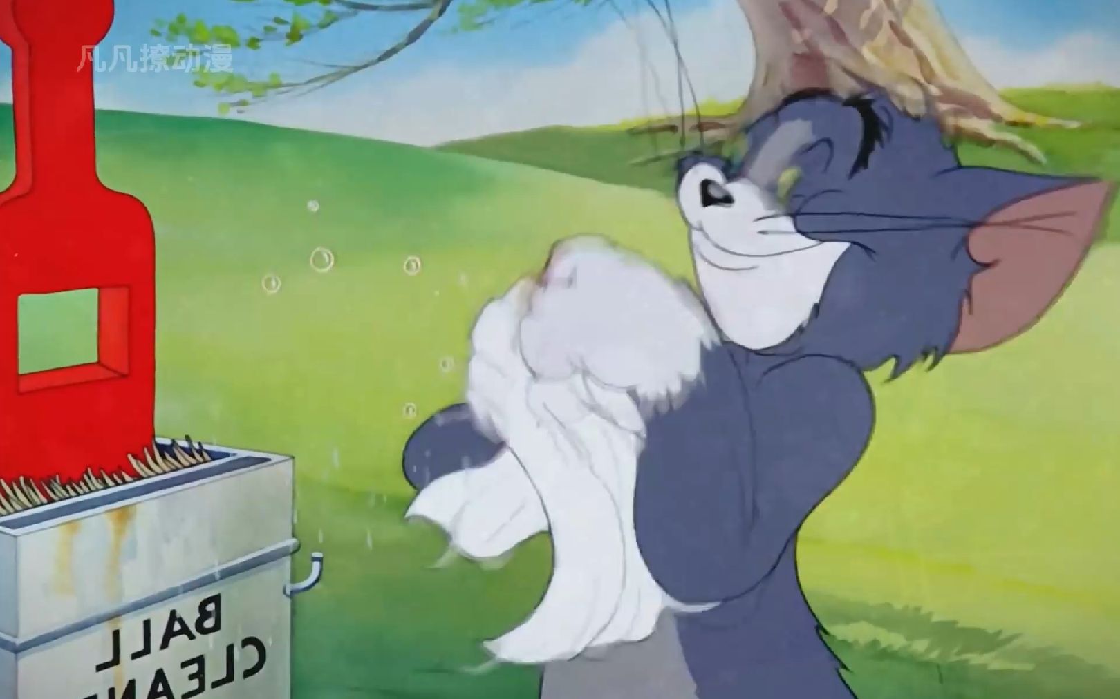 猫和老鼠确实是纪录片,汤姆打高尔夫的动作太真实了!