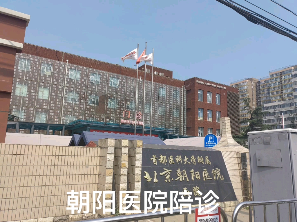 包含首都医科大学附属北京中医医院住院以及报销黄牛陪诊挂号的词条