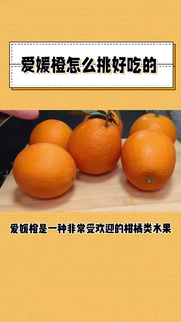 爱媛橙几月份最好吃?爱媛38和58号哪个好?果冻橙是热性还是凉性哔哩哔哩bilibili