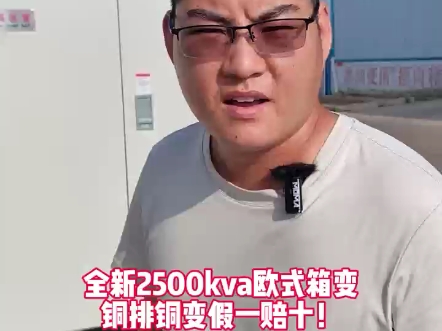 2500箱式变压器多少钱一套?全新铜排铜变一口价18.8万!哔哩哔哩bilibili