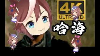 【哈基米音乐】 哈海