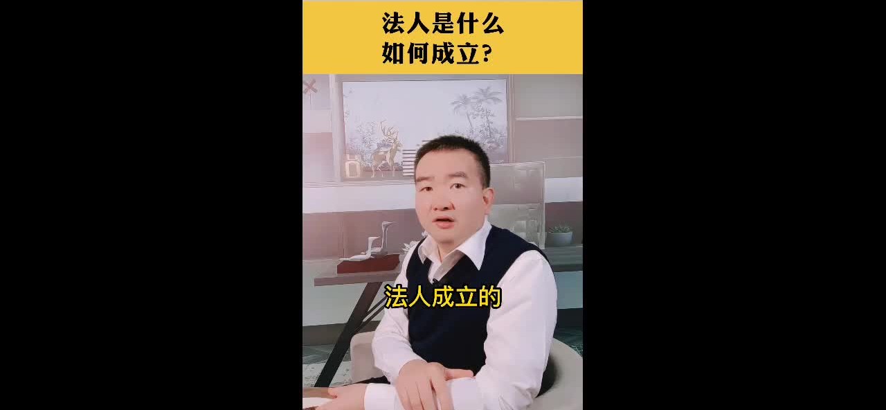 法人是什么,如何成立?哔哩哔哩bilibili