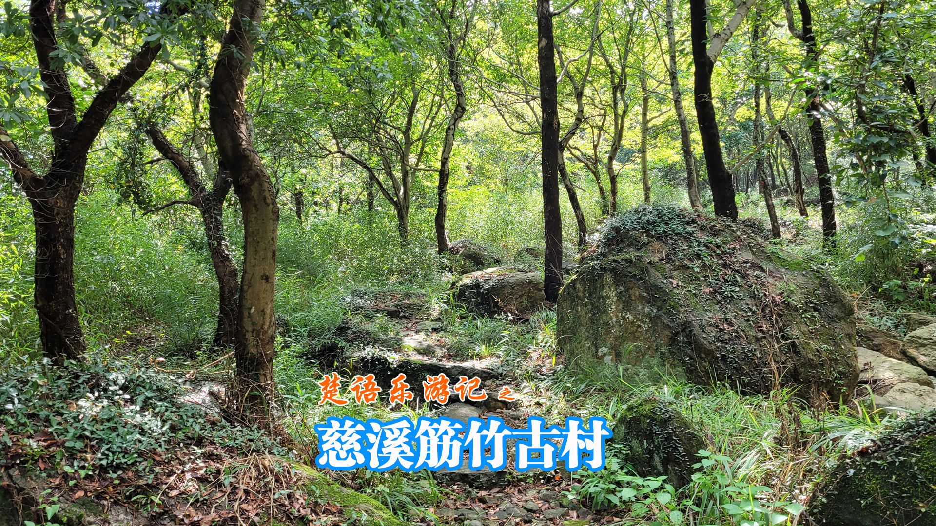 浙江慈溪筋竹古村,南山岙里居然藏着一片绿野仙踪,美如童话世界哔哩哔哩bilibili