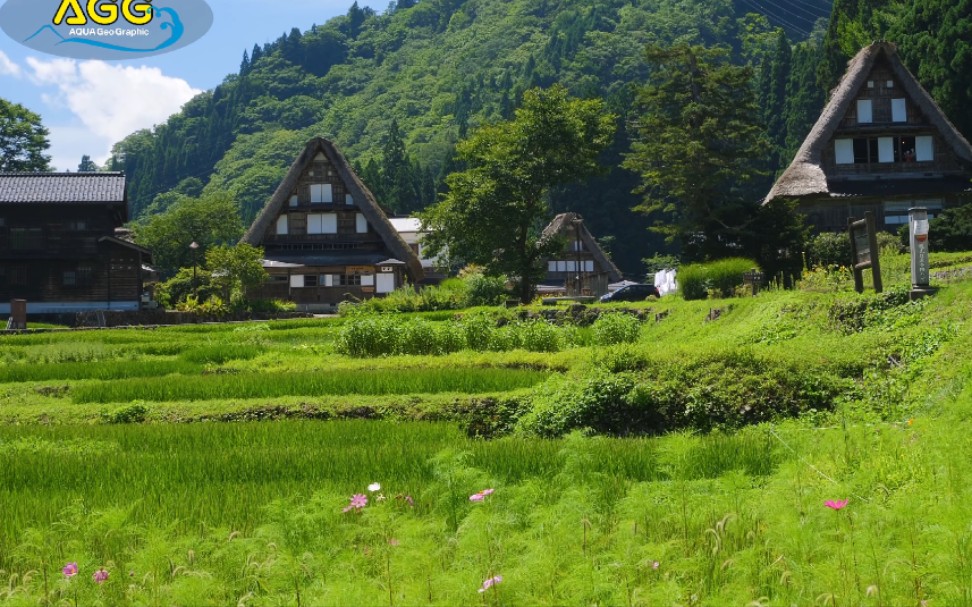 [图][4K] 世界遺産 五箇山 相倉合掌集落 2020年夏