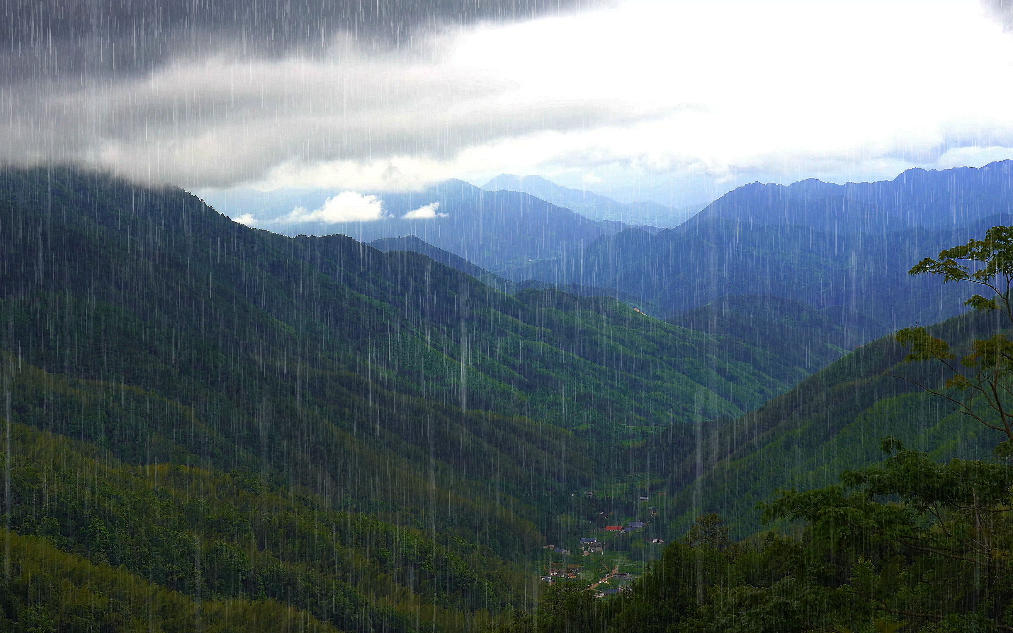 来自海拔2200米山顶的雨声和雷声,高山自然森林真实拍摄,从小雨到大雷雨,自然白噪音让你彻底打败失眠!拍摄于炎陵县梨树洲景区哔哩哔哩bilibili