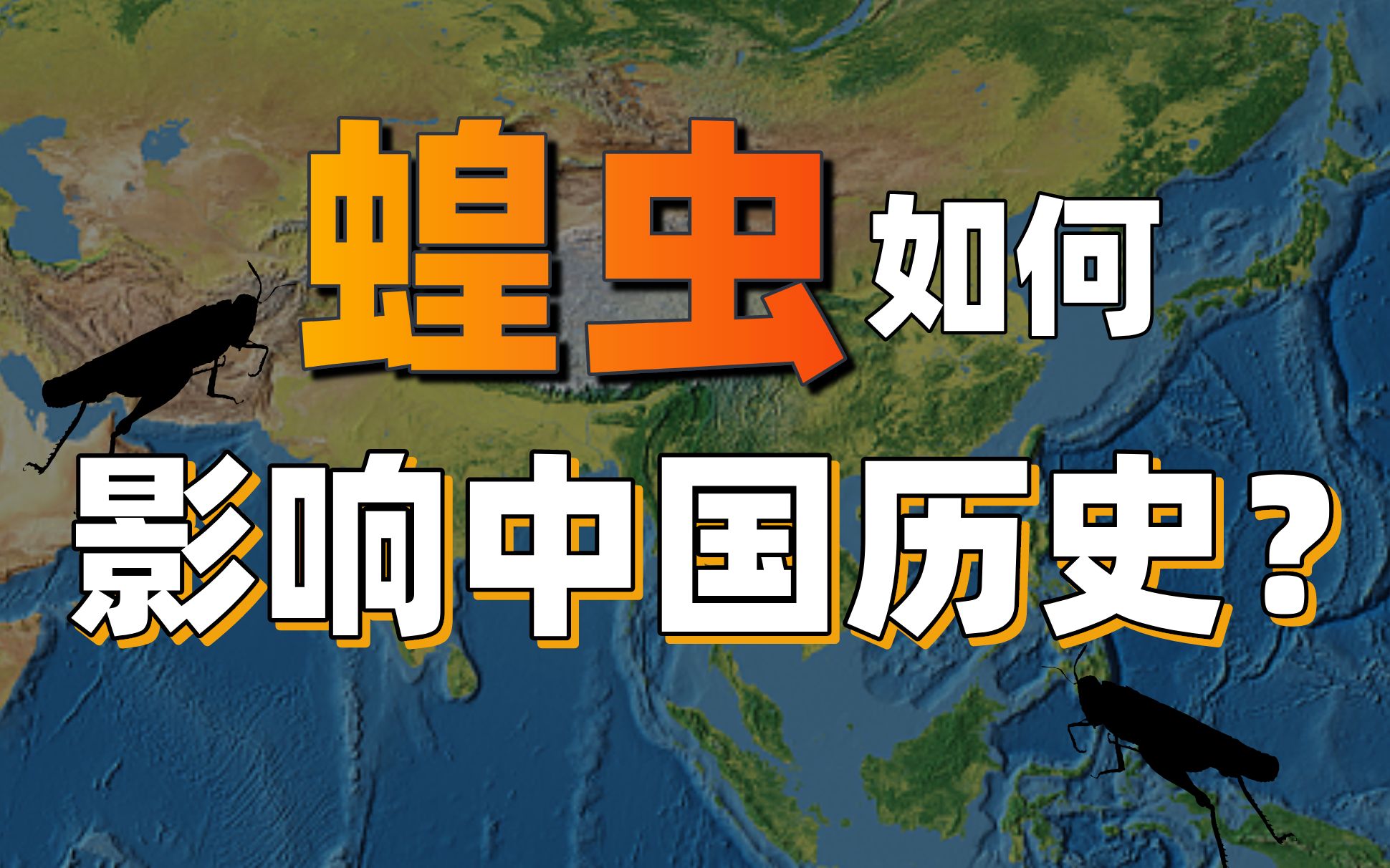 [图]为了一口饱饭，我们跟蝗虫斗争了上千年【中国观察】