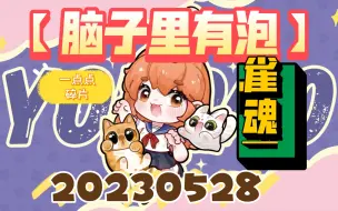 Download Video: 【脑子里有泡】雀魂，一点点碎片，2023528，