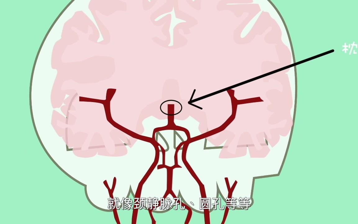 你知道吗?"你的脑子有洞"不只是一句骂人的话