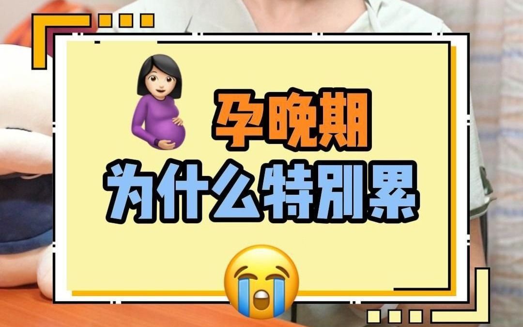 为什么孕晚期会觉得特别累?哔哩哔哩bilibili